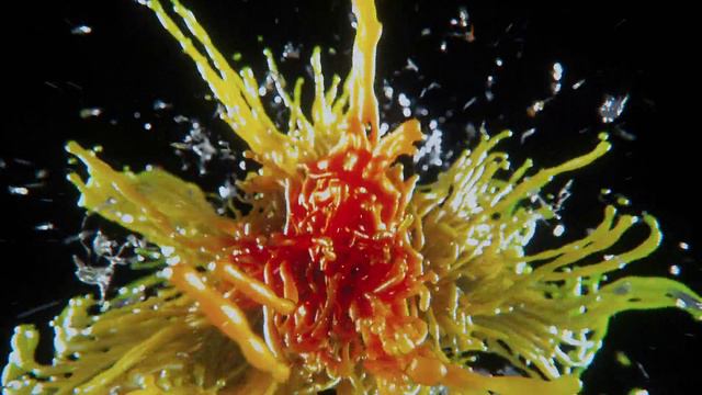 Кайдзю номер восемь аниме 2024 [опенинг] смотреть онлайн