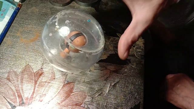 Эксперимент показывающий как ядро наклонило ось вращения планеты Земля относительно эклиптики. смотреть онлайн