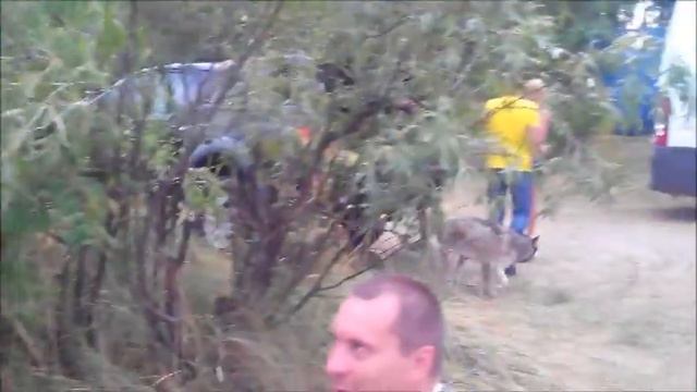 На природе хорошо! смотреть онлайн