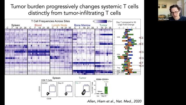 [Matthew Spitzer] Systemic Immunity in Cancer смотреть онлайн