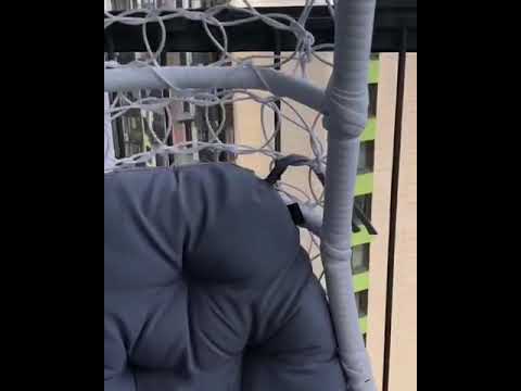 25 июня 2020 г. смотреть онлайн