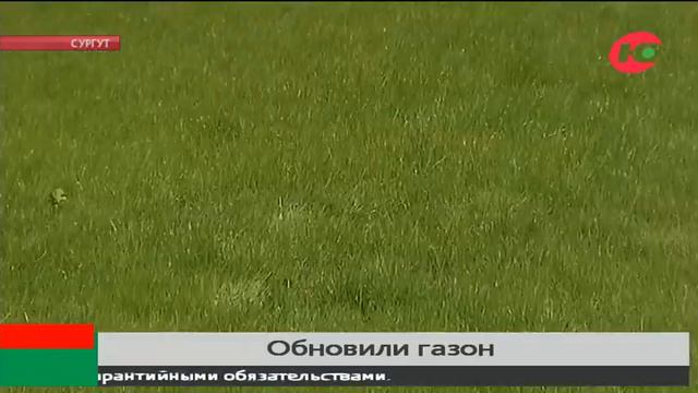 На обновление сургутских газонов потратят 9 000 000 рублей смотреть онлайн