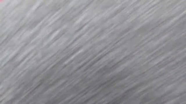 Контактный зоопарк в Обнинске. смотреть онлайн