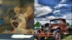 Бен выбирает машину