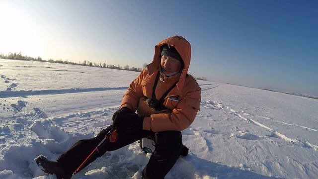 Ловля берша в глухозимье. Берш на тюльку