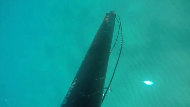 Подводная охота прибыль пенсионера вдень 50-300евро!Spearfishing brings profit per day 50-300 euros смотреть онлайн