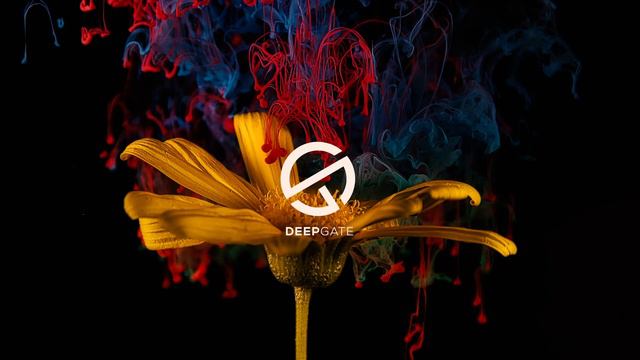 A Mase feat. Ladynsax - Lily Was Here (Original Mix) смотреть онлайн