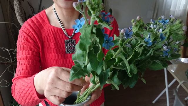 #おるきブルー　#フラワースクールヘクセンハウス　「家に花を飾りましょう」vol.5　#Vlog