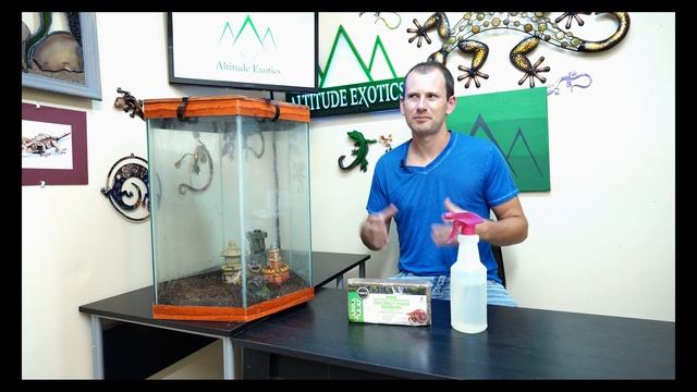 Mourning Gecko Care 101 (with basic cage setup) смотреть онлайн