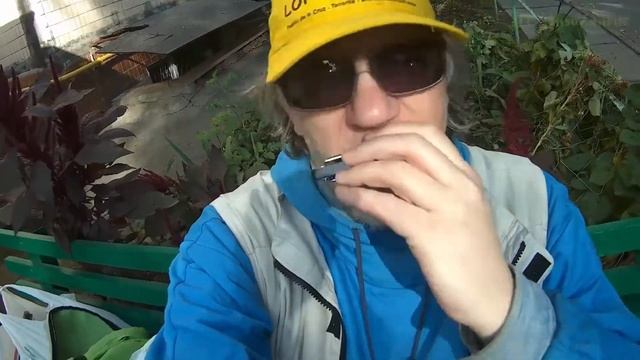 Собака-Барабака смотреть онлайн