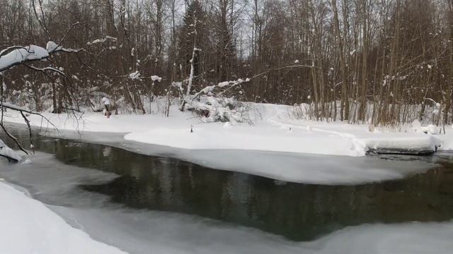 #231 Tenkara Rod | NISSIN PRO SQUARE Super Tenkara 3,15 6: 4