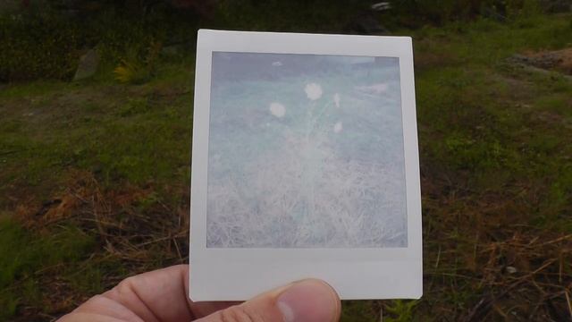 FUJIFILM instax WIDE 300, SQUARE SQ6, mini 8　雨の日の夕方のコスモス　COSMOS смотреть онлайн