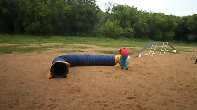 первое занятие аджилити 1 смотреть онлайн