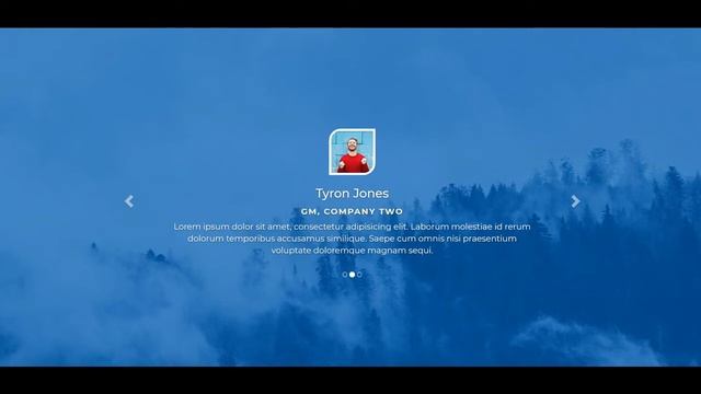 Testimonial Slider with Bootstrap Carousel смотреть онлайн