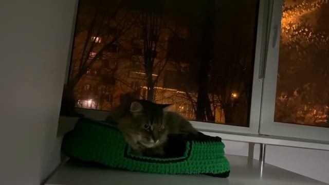 Ночью лукошко занято Васильком смотреть онлайн