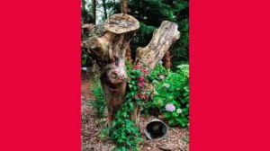 Как можно красиво оформить пень в саду или на даче!!! 75 лучших идей!!!