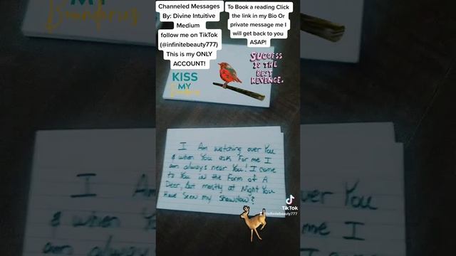 Oracle Of the Stars Tarot ? By Divine Intuitive Medium inc. смотреть онлайн