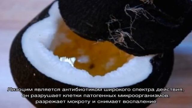 Тонкости использования черной редьки в лечении детского кашля смотреть онлайн