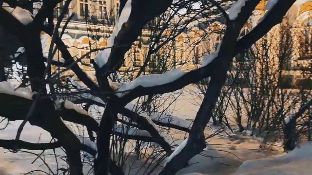 VID 20221214 184519 Мальчик (Р. М. Рильке)...Павел Васильев Лахтинский смотреть онлайн
