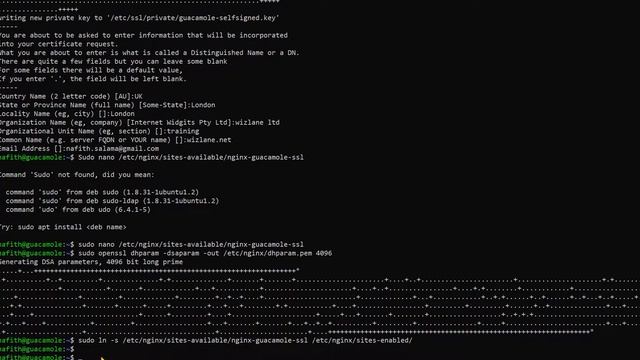 install Self-Signed-Certificate on Apache Guacamole and NGINX смотреть онлайн