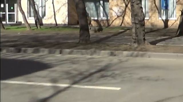 Побег из самоизоляции на 5 часов! Москва сегодня. Цифровой пропуск и соцкарта действуют? смотреть онлайн