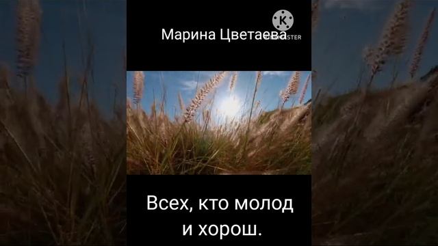 Марина Цветаева -"Горечь!Горечь! Вечный привкус..." стихотворение смотреть онлайн