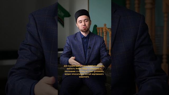 Можно ли давать кости Курбана собакам? смотреть онлайн