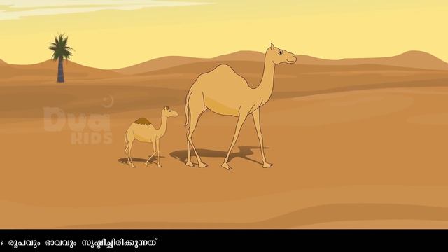 പാറ പിളർന്നു വന്ന ഒട്ടകം Quran Stories Malayalam | Prophet Stories Malayalam | Use Of Education