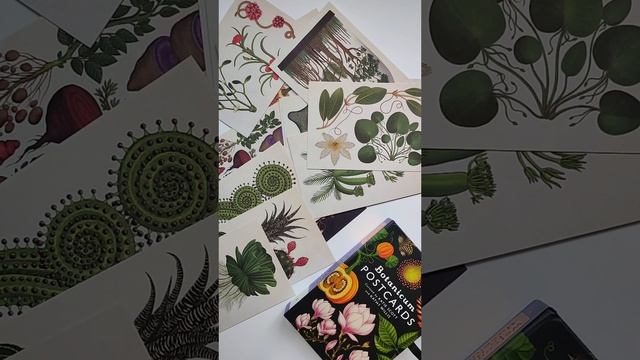 Набор открыток Botanicum: 50 Postcards смотреть онлайн