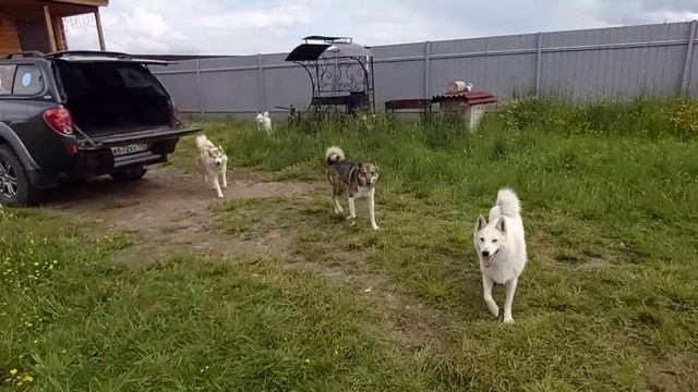 С утра уборка и завтрак смотреть онлайн