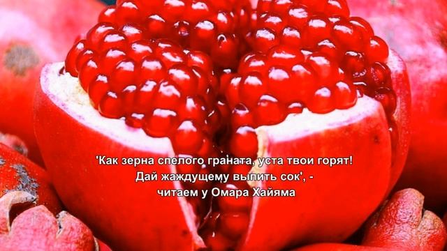 Calvin Klein Euphoria. Эйфория Кельвин Кляйн смотреть онлайн