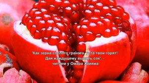 Calvin Klein Euphoria. Эйфория Кельвин Кляйн