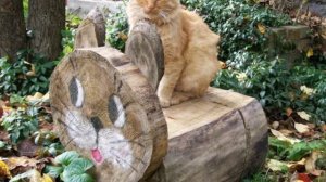 Красивые идей из деревянных бревен: деревенская мебель, садовые украшения, поделки.