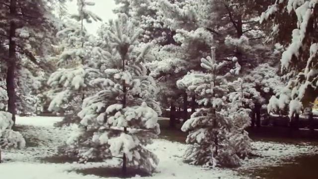 Первый снег в Бишкеке смотреть онлайн