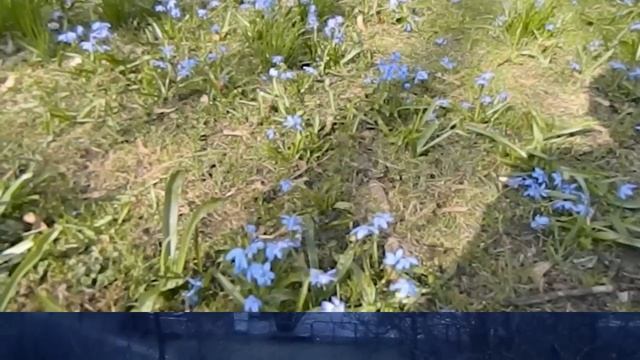 Spring In Ziepniekkalns (Nikon L120) смотреть онлайн
