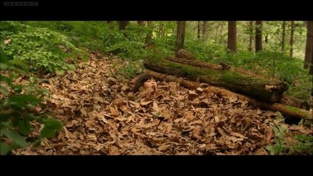 Taesu (Monster 몬스터 2014) - Hysteria смотреть онлайн