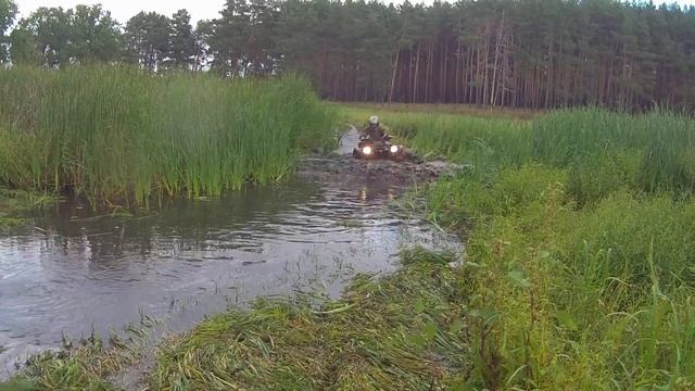 Гризли 700 купается смотреть онлайн