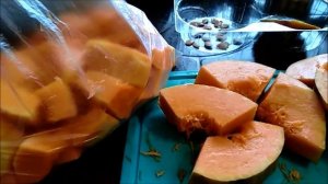 Тыква ВИТАМИННАЯ понравилась!  Сочная, ароматная, хорошо хранится! Буду ещё сажать.