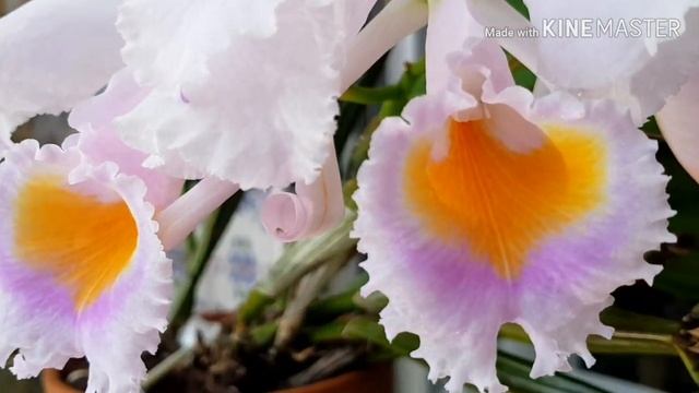 Стройка Чек-Лист