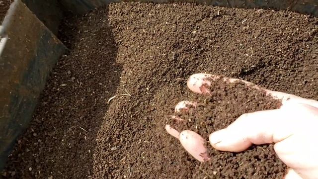 Занимаемся клубникой и червем смотреть онлайн