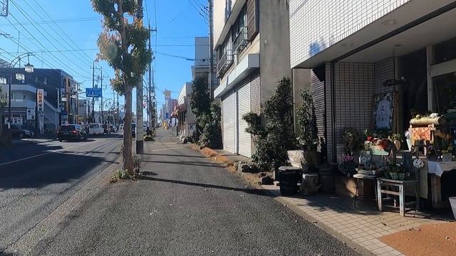 【VLOG】082　「チェキ」で狭山を散歩した。～ instax mini Link ～ смотреть онлайн