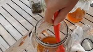 КАК ВЫРАСТИТЬ  ЧАЙНЫЙ ГРИБ С НУЛЯ/ Kombucha/Первые шаги