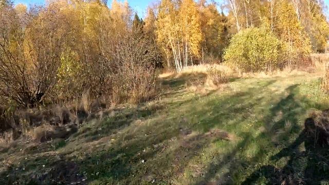 Вырвались на фэтбайке из Талаево.Едем в Парк Победы.Сел акум у камеры. смотреть онлайн