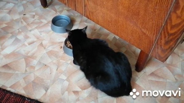 Злата в гостях у Филечки)