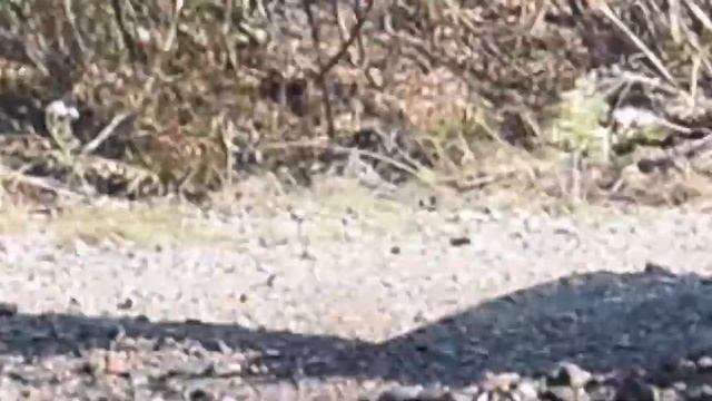 6 10 2019 путешествие на мотоблоках 25 км смотреть онлайн