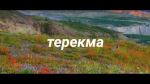 Себастьян Марин-Терекма