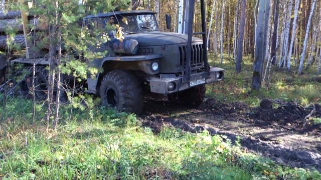 #Урал Лесовоз грязи не боится, на гусеницах, с ведущим прицепом.... смотреть онлайн