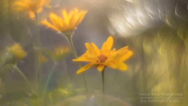 Helios 44 2 Petzval Mod