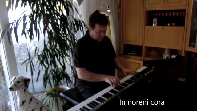 Conquest of Paradise - Instrumentel - WeDi‘s Music - (Werner Dippon) смотреть онлайн
