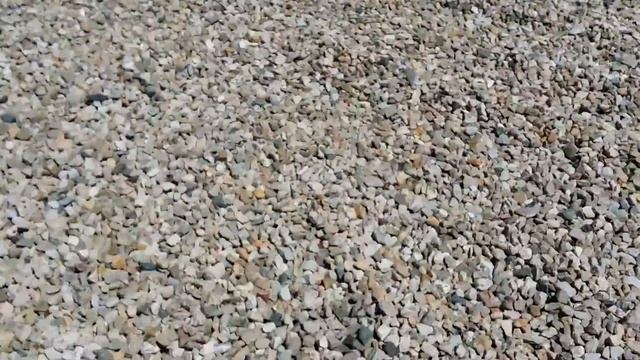 Эволюция Жизни на Земле. Маленькая иллюстрация. смотреть онлайн